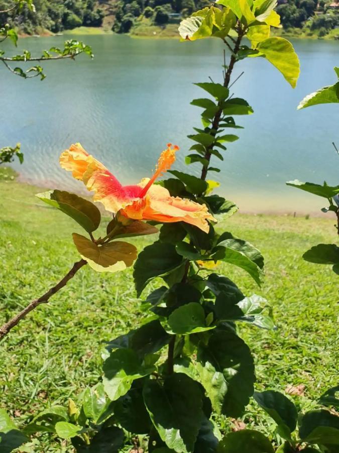 Maravilhoso Sitio Na Beira Da Represa Villa Igaratá Exterior foto